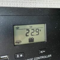 31
